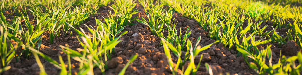 Immagini news sito Centoform